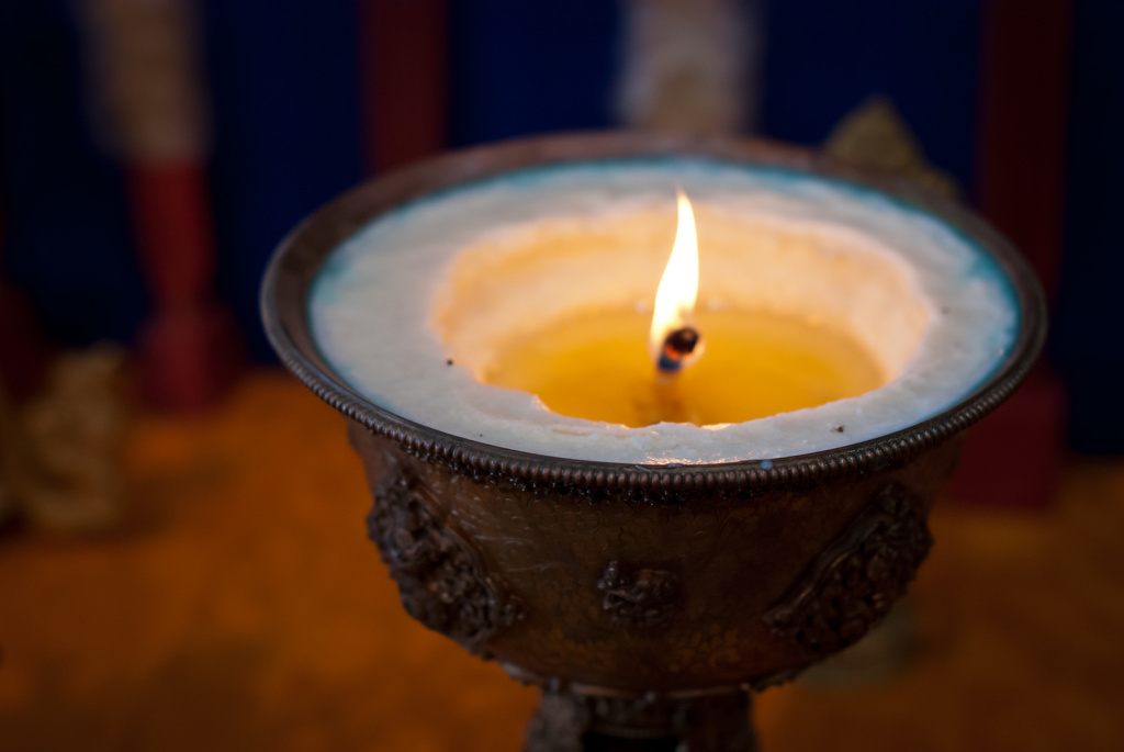 Подношения света Менри