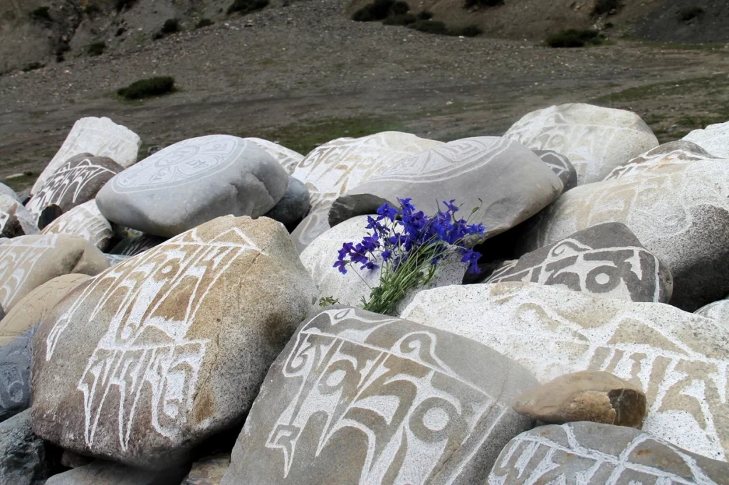 27c2hw0cfiwkb4mirv008fdljs8lakdn.jpg 27c2hw0cfiwkb4mirv008fdljs8lakdn.jpg