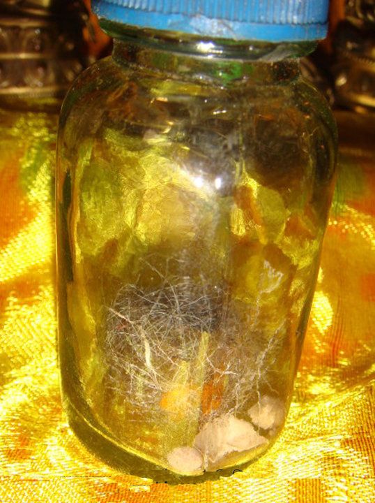 3 hair-and-nails-of-shardza-tashi-gyaltsen.jpg