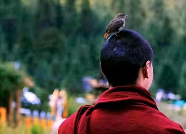 Любовь и открытость